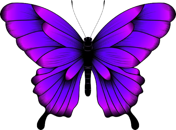 Butterflyhigh Logo